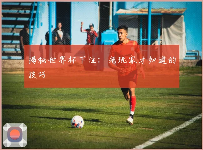 揭秘世界杯下注：老玩家才知道的技巧